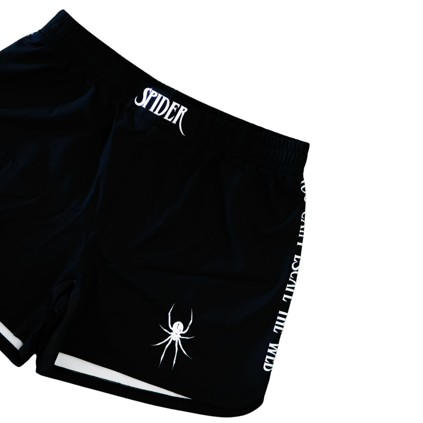 Spider Colab Set