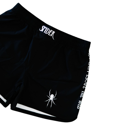 Spider Colab Set