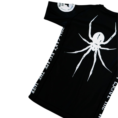 Spider Colab Set